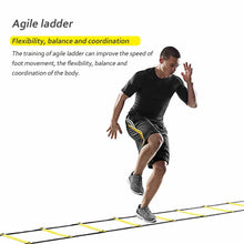 Load image into Gallery viewer, Agility ladder Speed 3M 4M 6M
